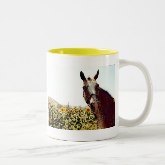 Heb een kopje zonneschijn! tweekleurige koffiemok (Rechts)