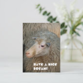 Heb een leuke droom ansichtkaart briefkaart (Staand voorkant)