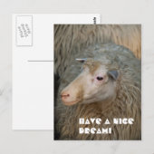Heb een leuke droom ansichtkaart briefkaart (Voorkant / Achterkant)