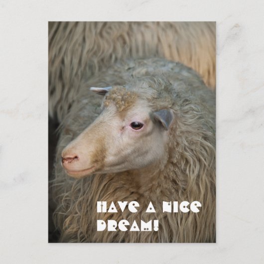 Heb een leuke droom ansichtkaart briefkaart (Voorkant)