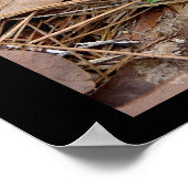 Heb een liefdesverband met Natuur Moss Heart Poste Poster (Hoek)