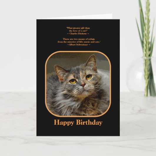 Heb een miauw-velous Birthday Tortoiseshell Cat Kaart (Voorkant)