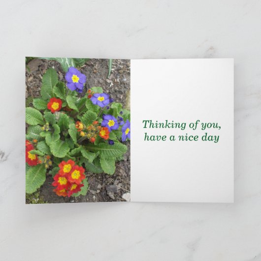 Heb een mooi dag-gemengd bloembed kaart (Binnen)