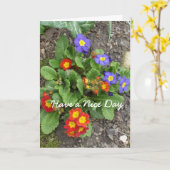 Heb een mooi dag-gemengd bloembed kaart (Gele Bloem)