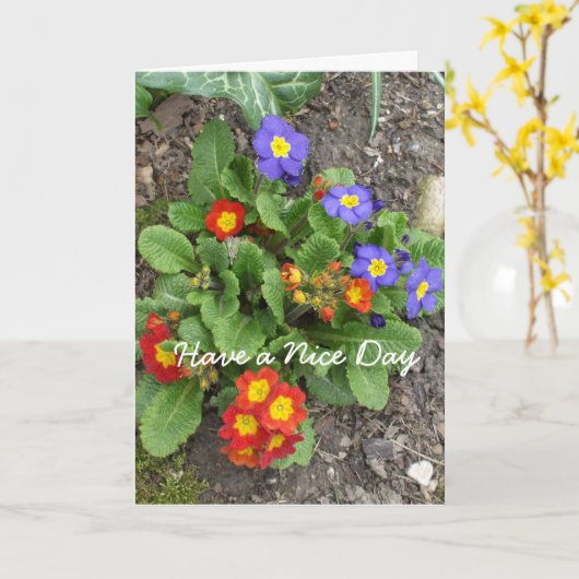 Heb een mooi dag-gemengd bloembed kaart (Gele Bloem)