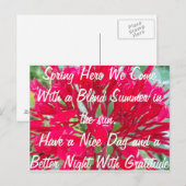 Heb een mooie zomer in de Sun Post Kaart (Voorkant / Achterkant)