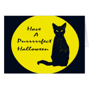 Heb een PURRfect Halloween!