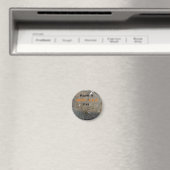 Heb een Spin van de Herfst BOOarmige op een Web Magneet (Insitu (Vaatwasser))