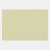 Heb een spookachtige dag Halloween Witch Skeleton Inpakpapier Vel (Voorkant 2)