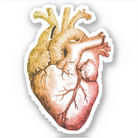 Heb een sticker van het Hart (Voorkant)