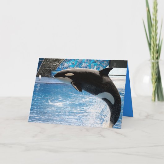 Heb een Walvis van een Dag! Kaart (Voorkant)