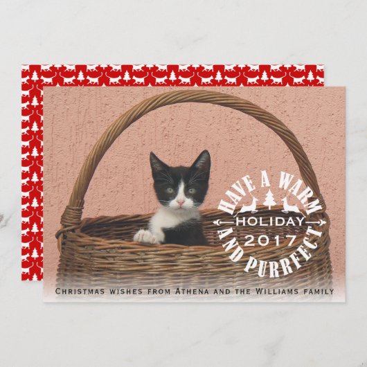 Heb een warme en perfecte kerstkat feestdagenkaart (Voorkant / Achterkant)