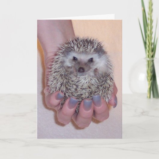 Heb een Wenskaart van de Bal Kaart (Voorkant)