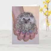 Heb een Wenskaart van de Bal Kaart (Gele Bloem)