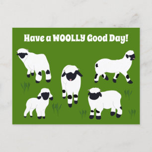 Heb een WOOLY Good Day Valais Blerkende Sheep Briefkaart