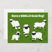 Heb een WOOLY Good Day Valais Blerkende Sheep Briefkaart (Voorkant / Achterkant)