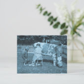 Heb er wat!  stereobeeld briefkaart (Staand voorkant)