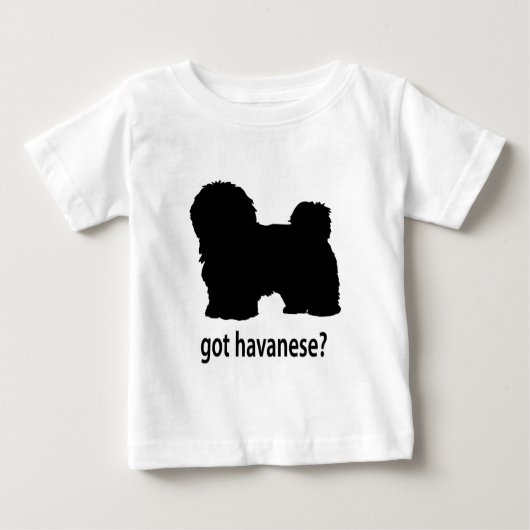 Heb Havanese (Voorkant)