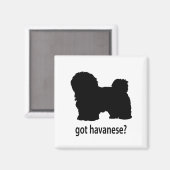 Heb Havanese Magneet (Voorkant / Achterkant)