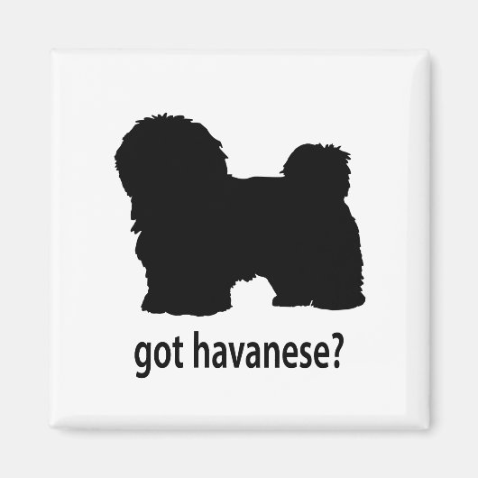 Heb Havanese Magneet (Voorkant)