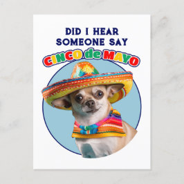 Heb ik Cinco De Mayo Sombrero Chihuahua gehoord? Briefkaart