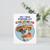Heb ik Cinco De Mayo Sombrero Chihuahua gehoord? Briefkaart (Staand voorkant)