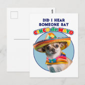 Heb ik Cinco De Mayo Sombrero Chihuahua gehoord? Briefkaart (Voorkant / Achterkant)