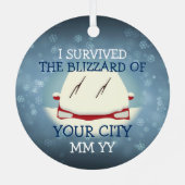  heb ik de blizzard auto overleefd metalen ornament (Achterkant)