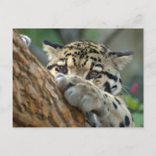 Heb ik het gekregen? briefkaart