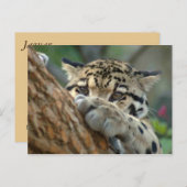 Heb ik het gekregen? briefkaart (Voorkant / Achterkant)