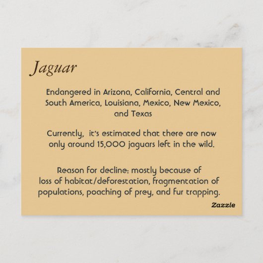 Heb ik het gekregen? briefkaart (Achterkant)