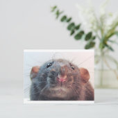 Heb ik je aandacht? briefkaart (Staand voorkant)