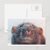 Heb ik je aandacht? briefkaart (Voorkant / Achterkant)