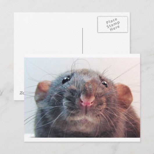 Heb ik je aandacht? briefkaart (Voorkant / Achterkant)