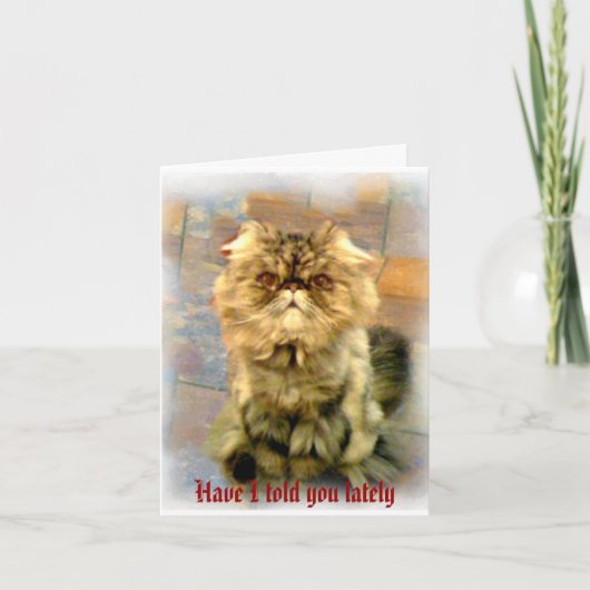 Heb ik je de laatste tijd verteld. . . kaart (Voorkant)