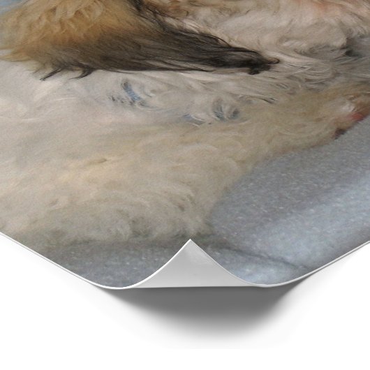 HEB IK JE LAAT VERTELLEN DAT... Ik hou van... Poster (Hoek)