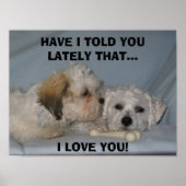 HEB IK JE LAAT VERTELLEN DAT... Ik hou van... Poster (Voorkant)