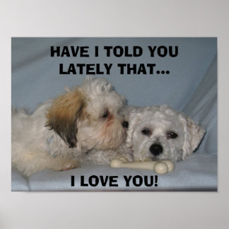 HEB IK JE LAAT VERTELLEN DAT... Ik hou van... Poster