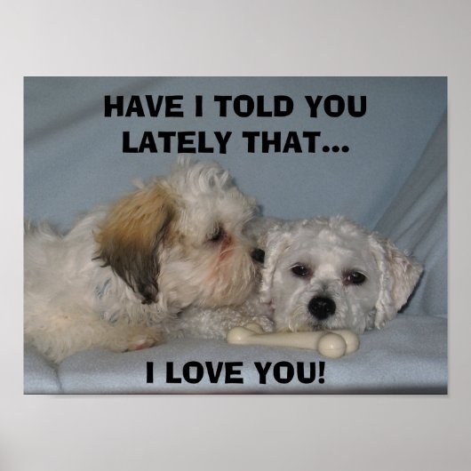 HEB IK JE LAAT VERTELLEN DAT... Ik hou van... Poster (Voorkant)