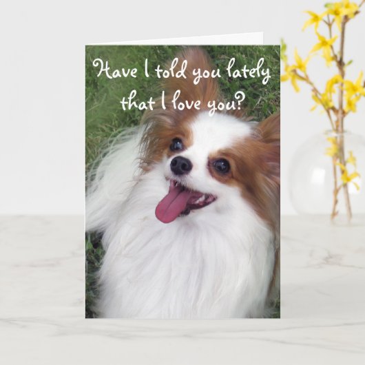 Heb ik je onlangs verteld dat ik van je papillon c kaart (Gele Bloem)