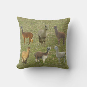 Heb je Alpacas? Kussen