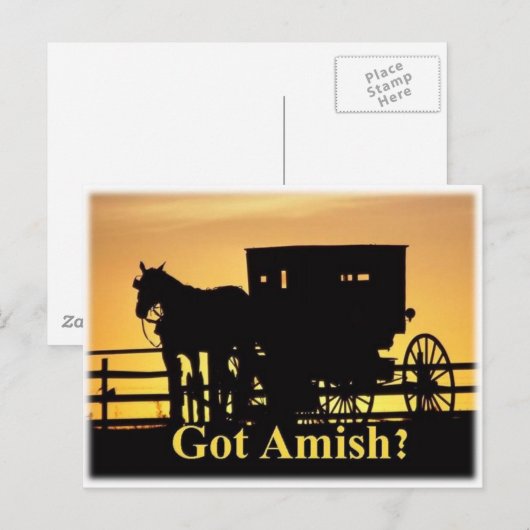 Heb je Amish? Briefkaart (Voorkant / Achterkant)