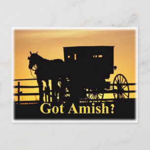 Heb je Amish? Briefkaart