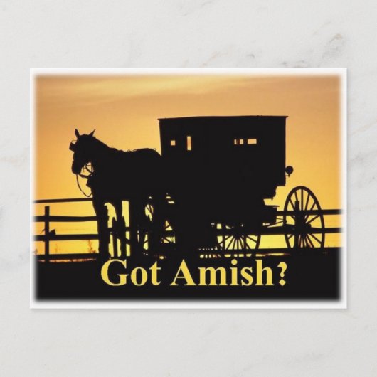 Heb je Amish? Briefkaart (Voorkant)