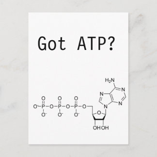 Heb je ATP? Briefkaart
