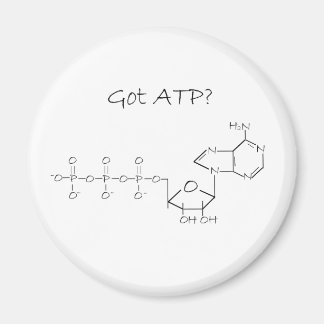 Heb je ATP? Magneet