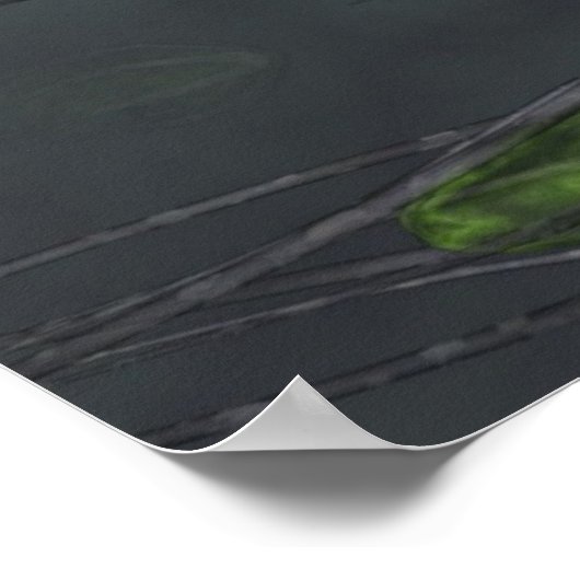 Heb je Bugs? Poster (Hoek)