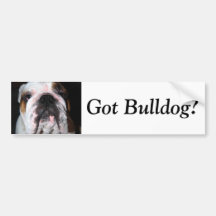 Heb je Bulldog?