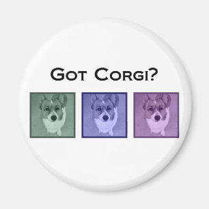 Heb je Corgi? Cute Corgis Magneet