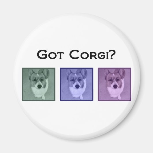Heb je Corgi? Cute Corgis Magneet (Voorkant)